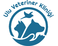 veteriner